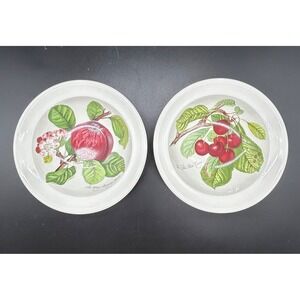 2 Portmeirion Soup Pasta Bowl 6.75 Fruit Cherry Apple Design Susan William Ellis